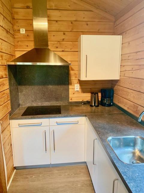 2 Bedroom Fins Chalet Gramsbergen Exterior photo